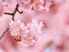 Spring has come!