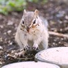 お目覚め