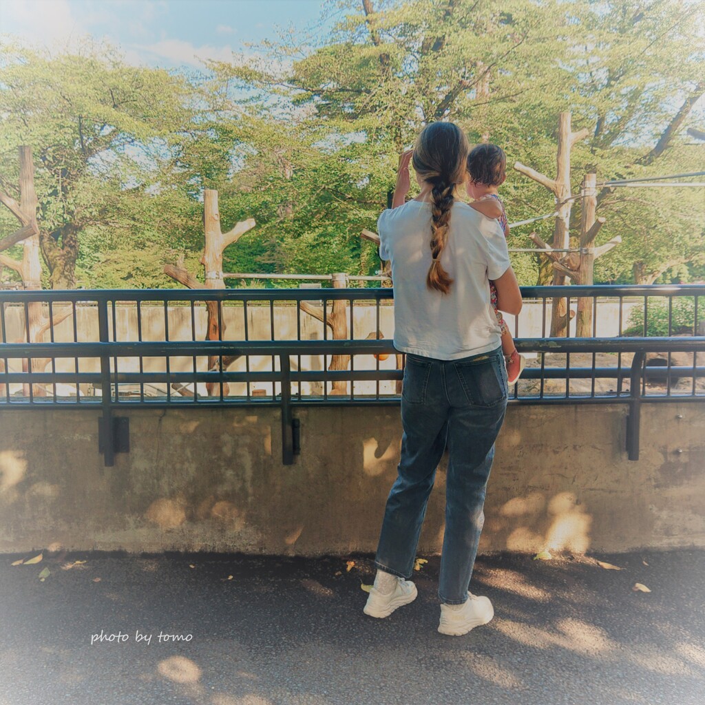 木漏れ日