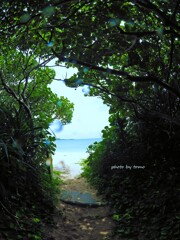 海へと続く道