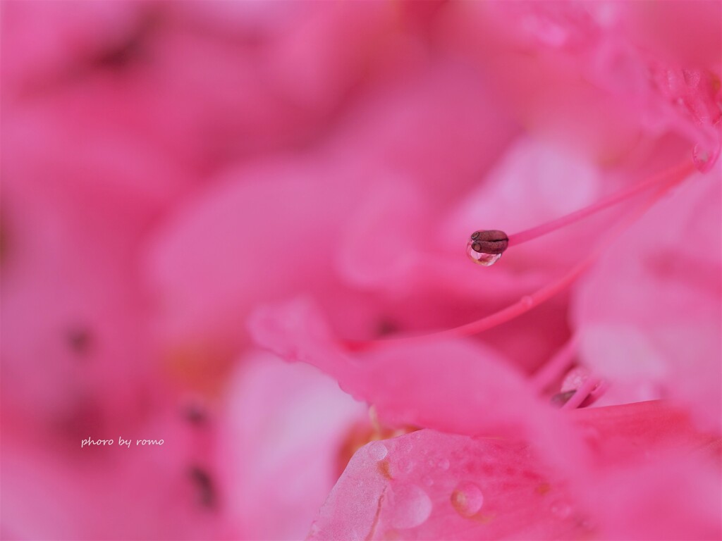 明日へ...