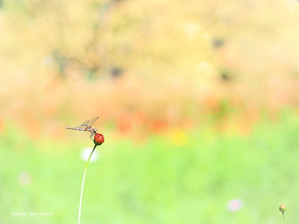 Fall is in the air