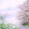君が思い出になる前に...