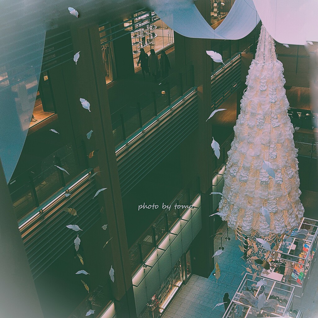 Christmas season has come!