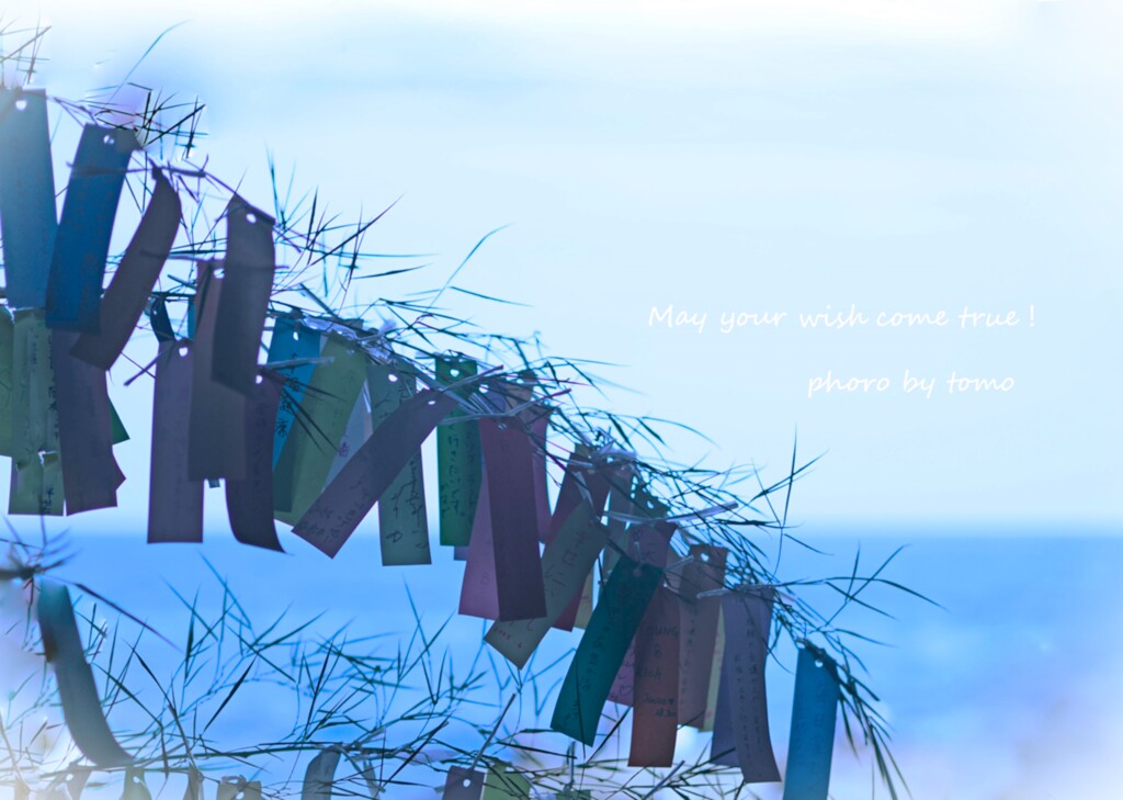 May your wish come true☆