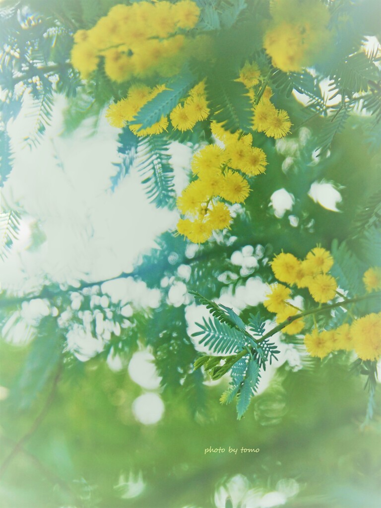 Spring is here!