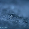 空からの贈り物