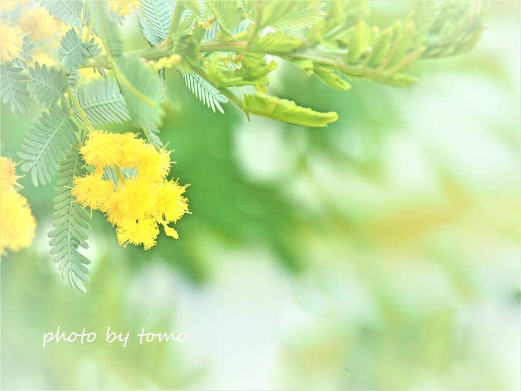 ココロのビタミン剤