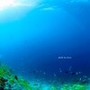 碧海