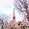 Tokyo sakura　II