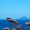旅の途中に・・・
