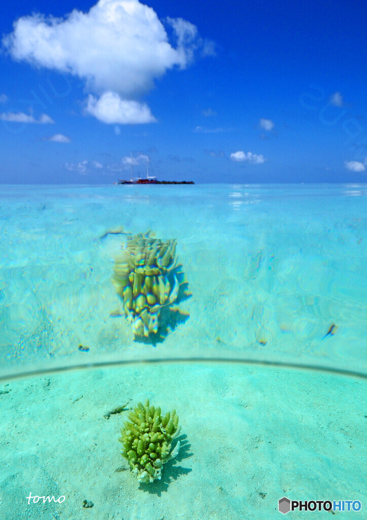 水鏡　珊瑚と海と
