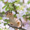 花よりだんご