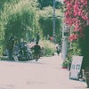 日常の