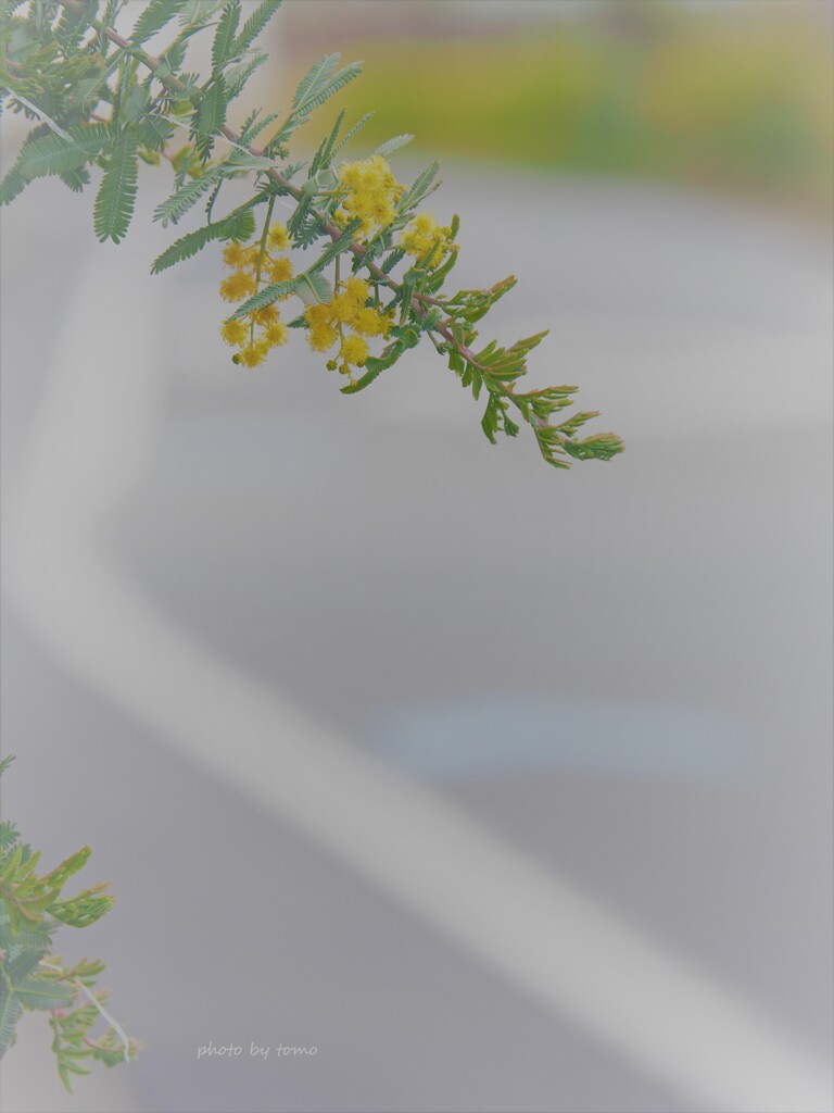 いってらっしゃい