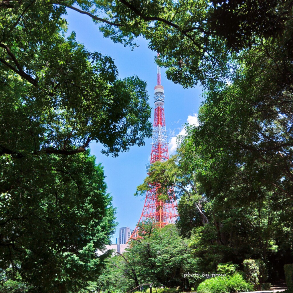 At Tokyo