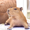 もぐもぐタイム