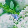 May you find happiness♡