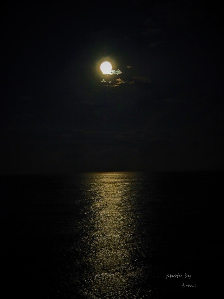 月夜