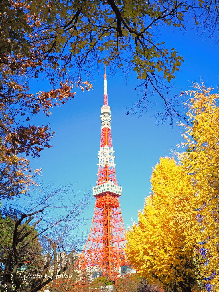 Autumn color Tokyo