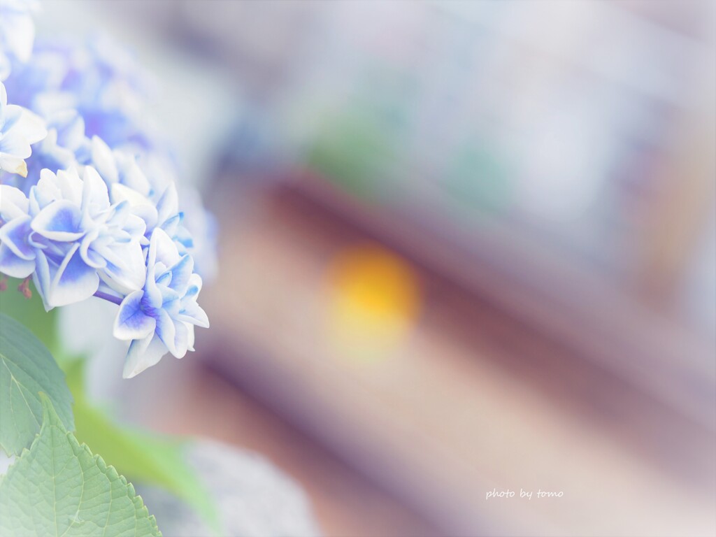 いってらっしゃい！