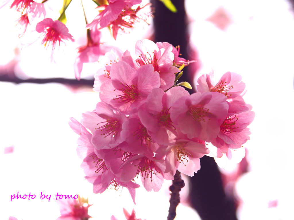 “full of the joys of spring”.