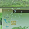シャボン玉飛んだ♬