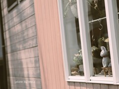 ジジのお留守番　(=^・・^=)