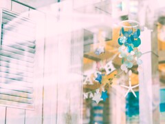 ナツを買いに... ナツを買いに...