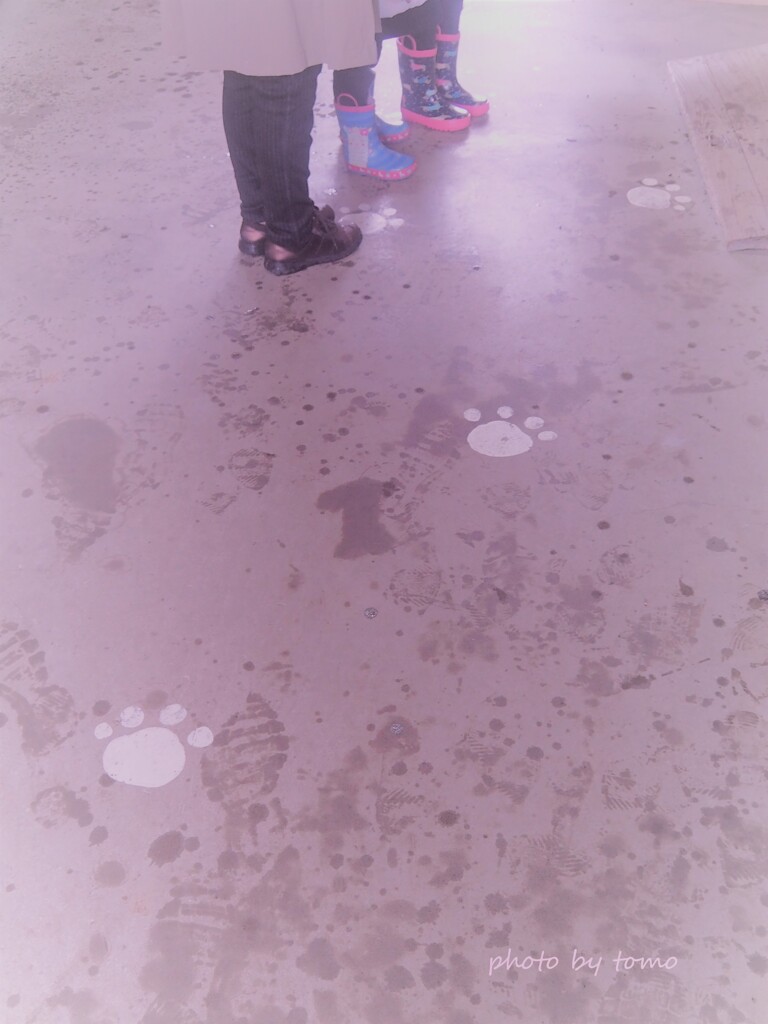 雨の足跡♪