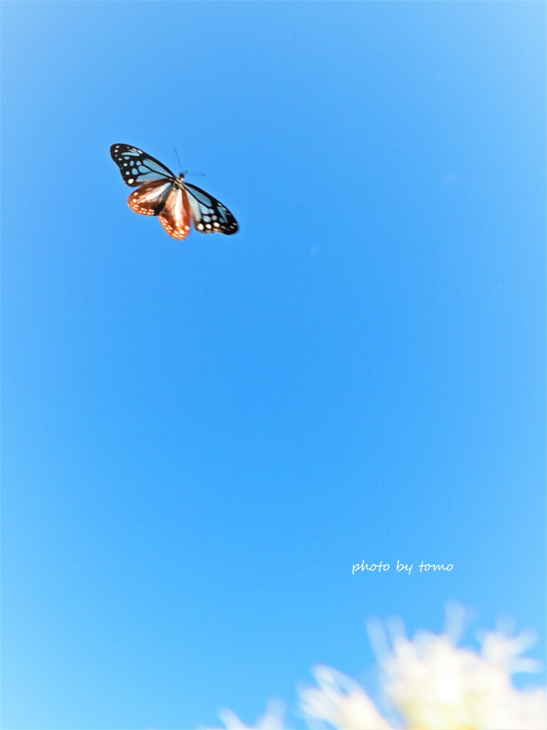 旅の途中