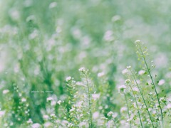 春の音が聞こえる♬