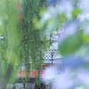 アジサイ色に染まる街　海街Diary I