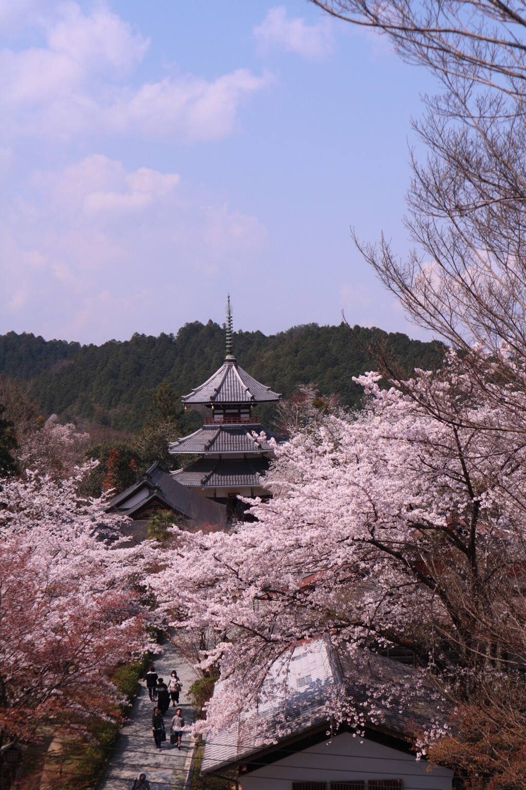 吉野山④