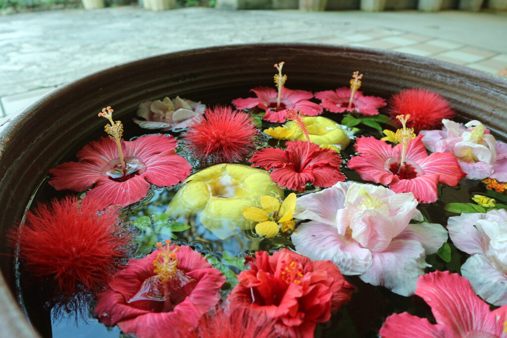 花々