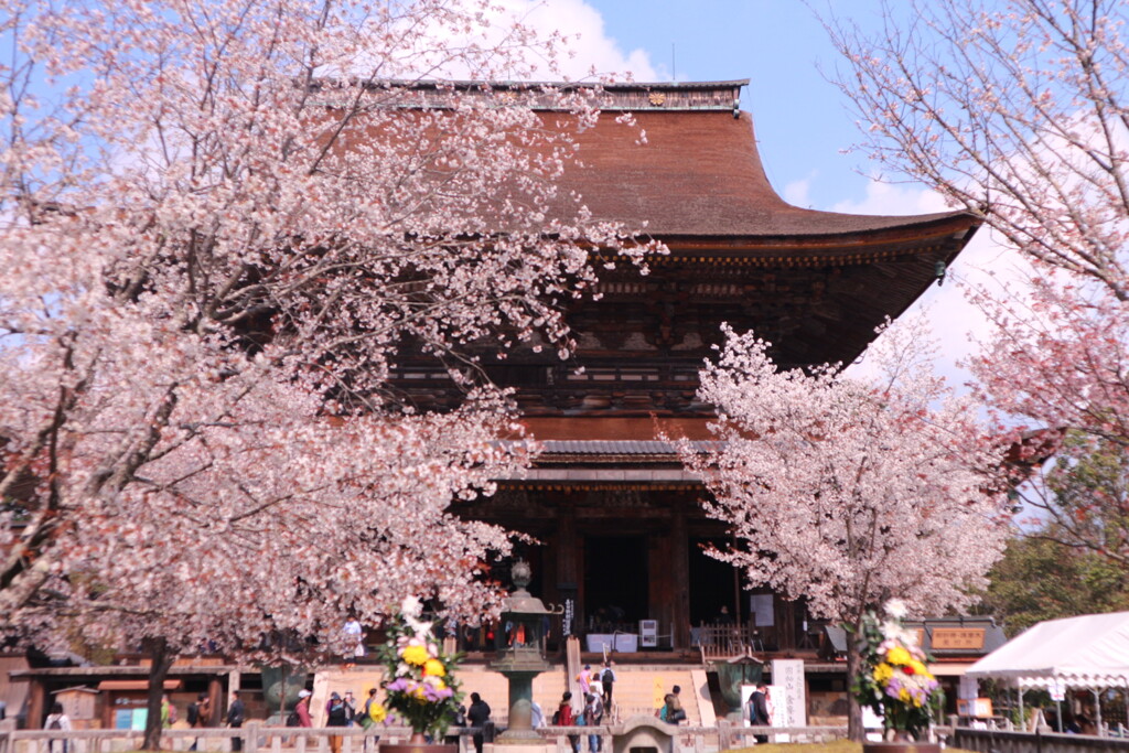 吉野山③