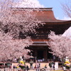 吉野山③