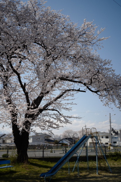 また来年会いましょう