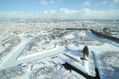 函館五稜郭雪景色