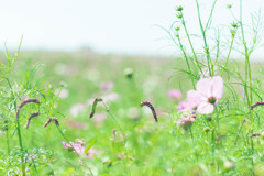 熊本県阿蘇市萌の里2