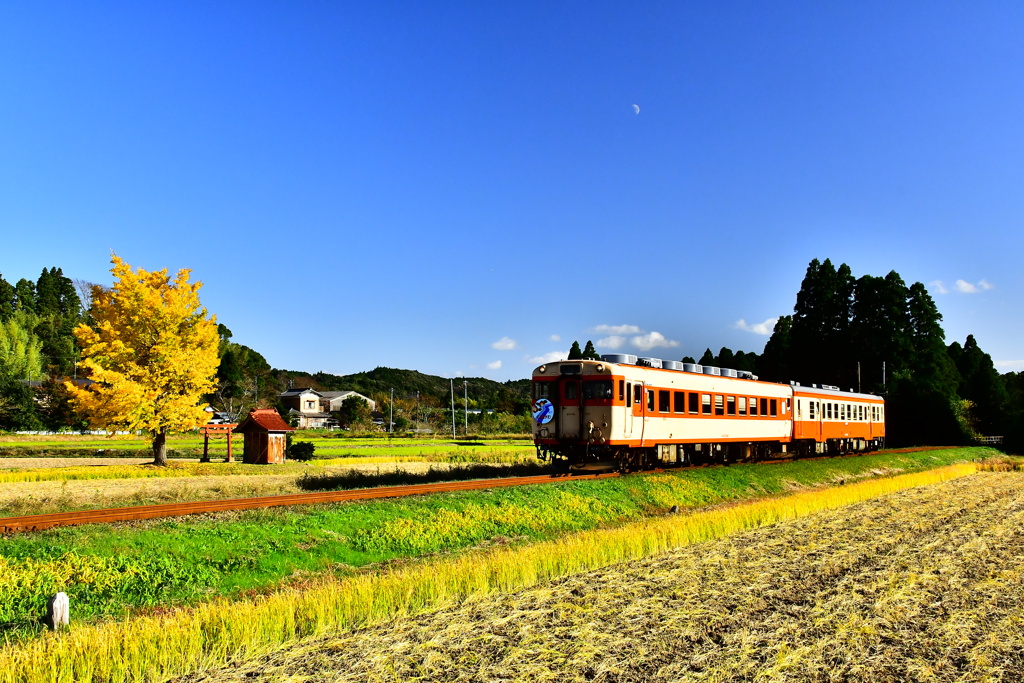 ローカル線秋景色　3