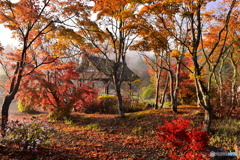 忍野の紅葉