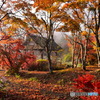 忍野の紅葉