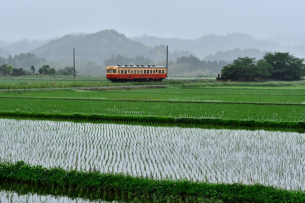 ローカル線（小湊鉄道）