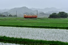 ローカル線（小湊鉄道）