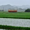 ローカル線（小湊鉄道）