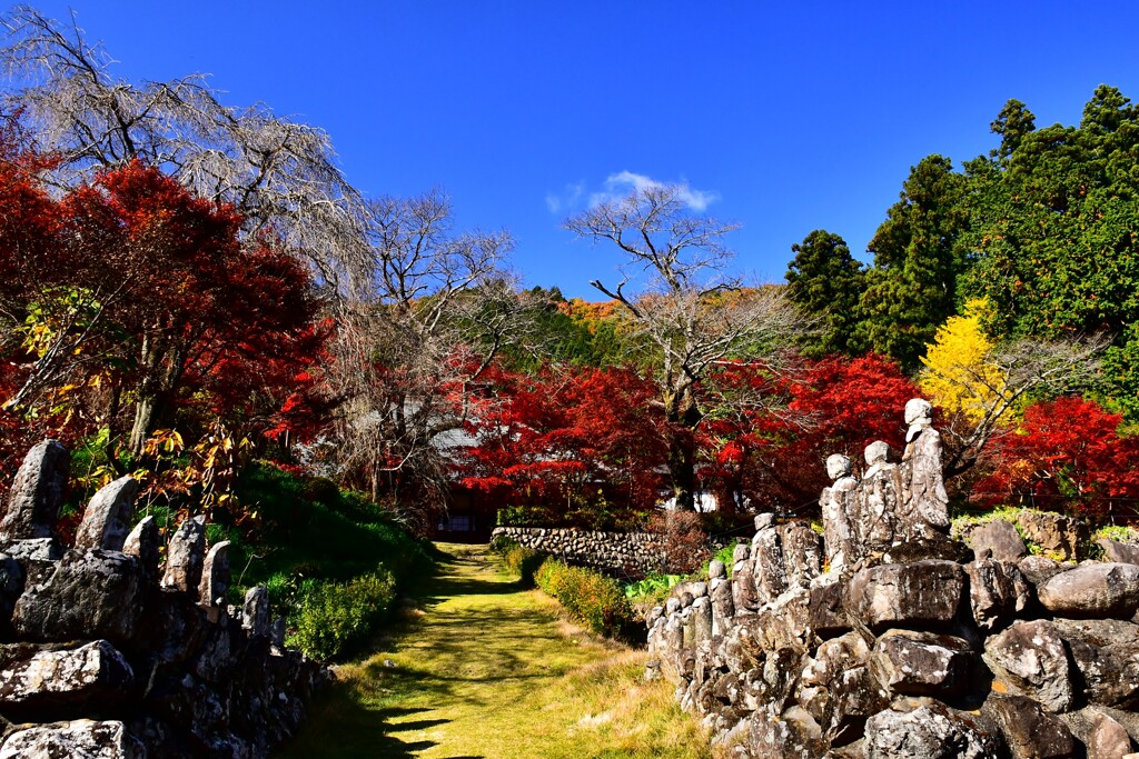 寺の紅葉