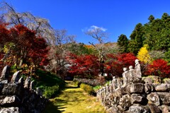 寺の紅葉