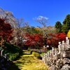 寺の紅葉