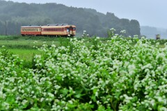 いすみ鉄道